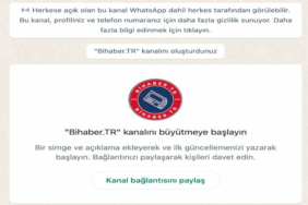 WhatsApp Kanalları