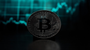 Move Coin Nedir