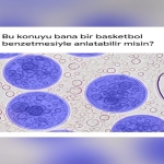Google, Türkiye’deki Üniversite Öğrencilerine Yapay Zekâ Araçlarını Ücretsiz Sunuyor