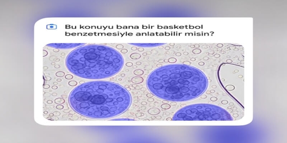 Google, Türkiye’deki Üniversite Öğrencilerine Yapay Zekâ Araçlarını Ücretsiz Sunuyor