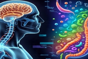 Karnınızdaki "İkinci Beyin" Sizi Nasıl Yönetiyor?