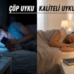 Sabah Yorgun Uyanmak Çöp Uyku Kaliteli Uyku Rehberi