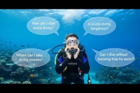 Tüplü Dalış Rehberi: Su Altı Dünyasına İlk Adımınız İçin Her Şey