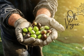 Soğuk Sıkım Zeytinyağı Nedir? Farkı ve Faydaları Nelerdir?