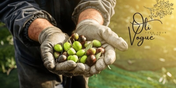 Soğuk Sıkım Zeytinyağı Nedir? Farkı ve Faydaları Nelerdir?